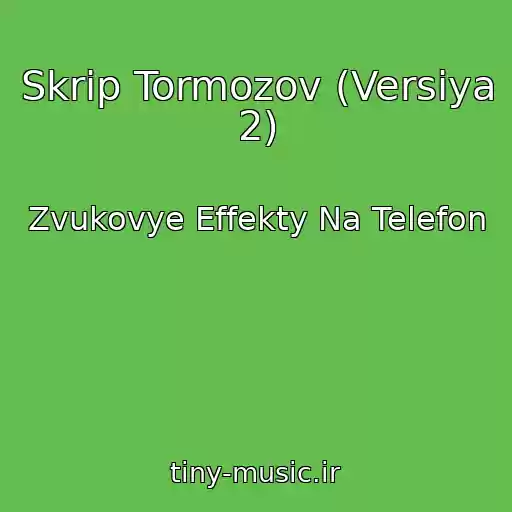 کاور آهنگ Skrip Tormozov (Versiya 2) از Zvukovye Effekty Na Telefon