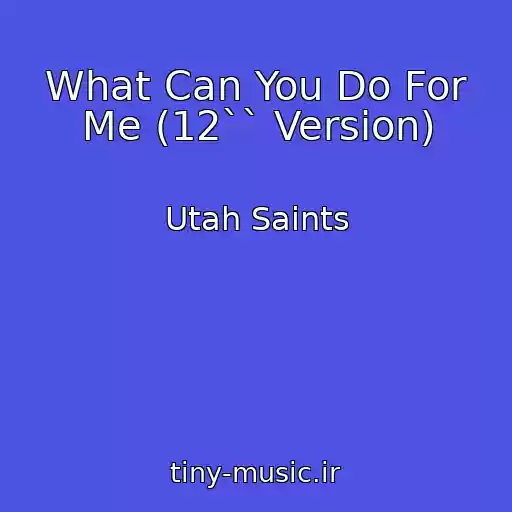 کاور آهنگ What Can You Do For Me (12`` Version) از Utah Saints