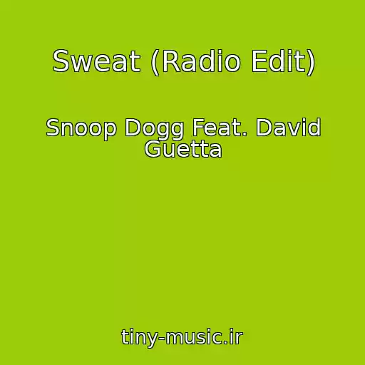 کاور آهنگ Sweat (Radio Edit) از Snoop Dogg Feat. David Guetta