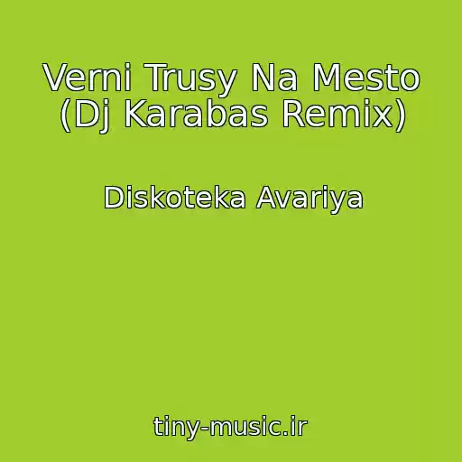 کاور آهنگ Verni Trusy Na Mesto (Dj Karabas Remix) از Diskoteka Avariya