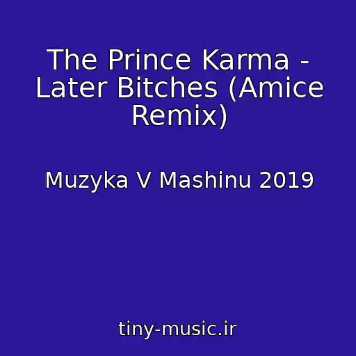 کاور آهنگ The Prince Karma - Later Bitches (Amice Remix) از Muzyka V Mashinu 2019