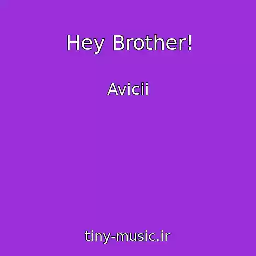 کاور آهنگ Hey Brother! از Avicii
