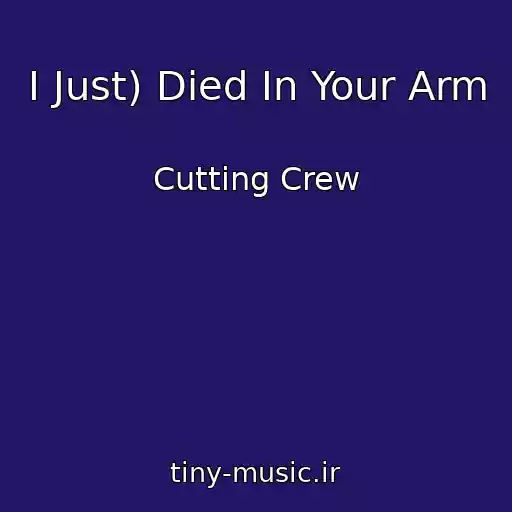 کاور آهنگ I Just) Died In Your Arm از Cutting Crew