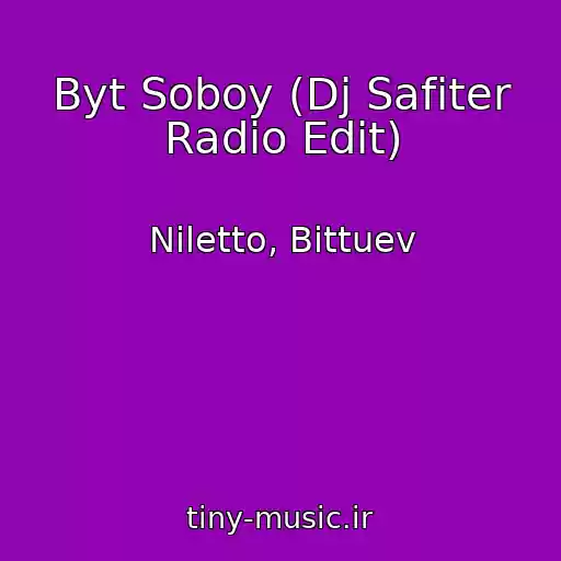 کاور آهنگ Byt Soboy (Dj Safiter Radio Edit) از Niletto, Bittuev