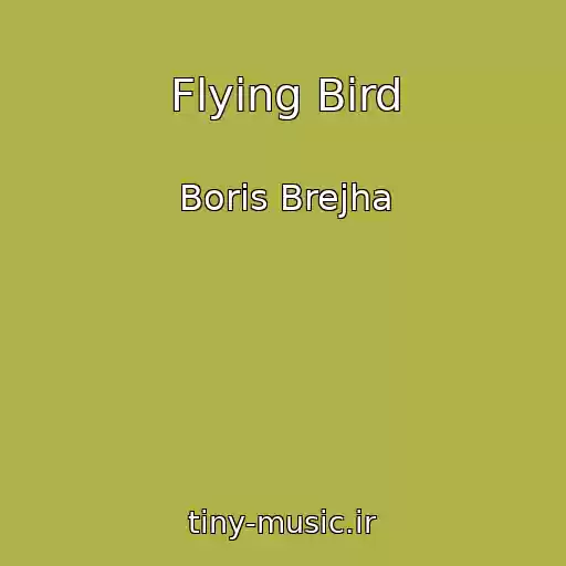 کاور آهنگ Flying Bird از Boris Brejha