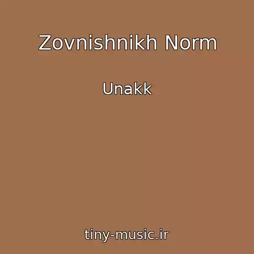 کاور آهنگ Zovnіshnіkh Norm از Unakk