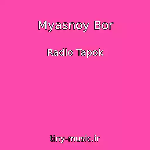 کاور آهنگ Myasnoy Bor از Radio Tapok
