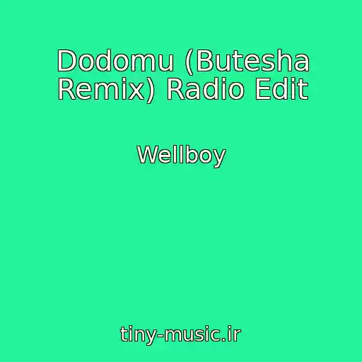 کاور آهنگ Dodomu (Butesha Remix) Radio Edit از Wellboy