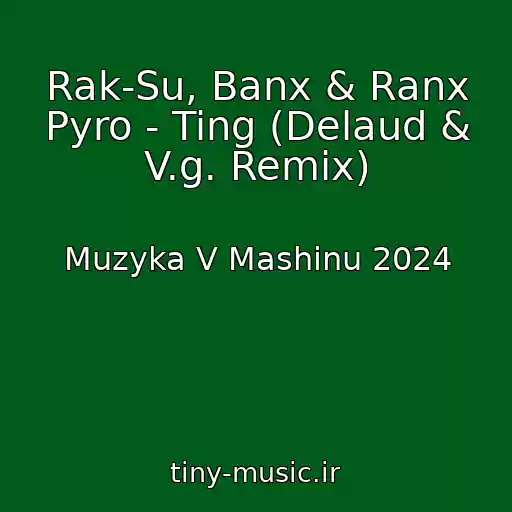 کاور آهنگ Rak-Su, Banx & Ranx Pyro - Ting (Delaud & V.g. Remix) از Muzyka V Mashinu 2024
