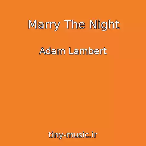 کاور آهنگ Marry The Night از Adam Lambert