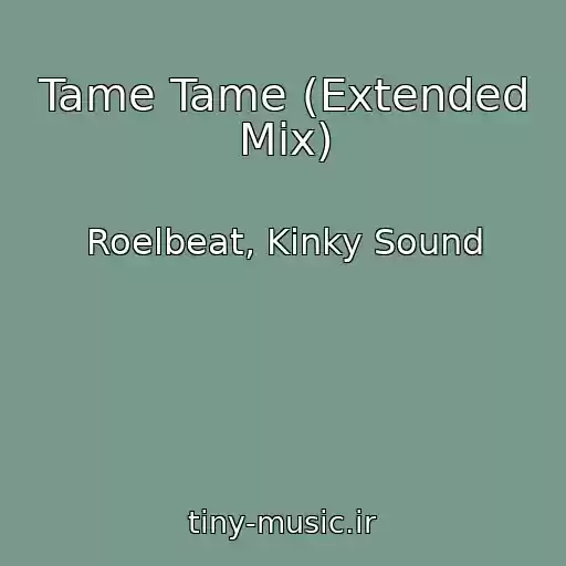کاور آهنگ Tame Tame (Extended Mix) از Roelbeat, Kinky Sound