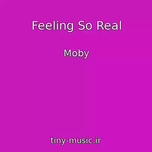 کاور آهنگ Feeling So Real از Moby