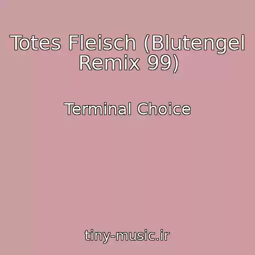 کاور آهنگ Totes Fleisch (Blutengel Remix 99) از Terminal Choice