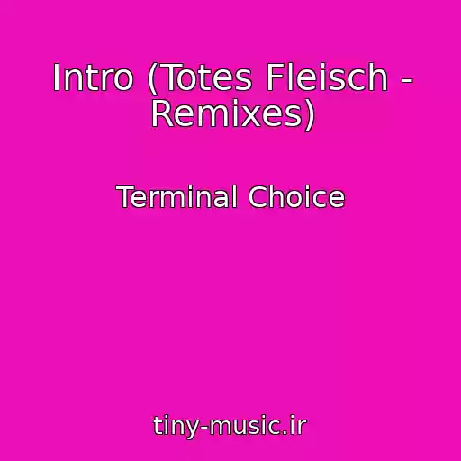 کاور آهنگ Intro (Totes Fleisch - Remixes) از Terminal Choice