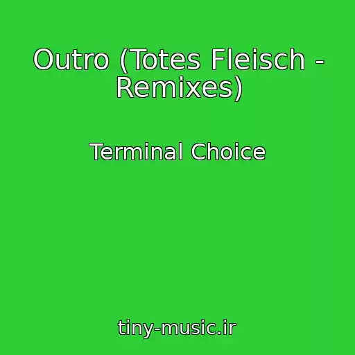 کاور آهنگ Outro (Totes Fleisch - Remixes) از Terminal Choice