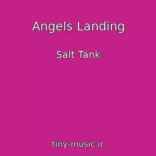 کاور آهنگ Angels Landing از Salt Tank