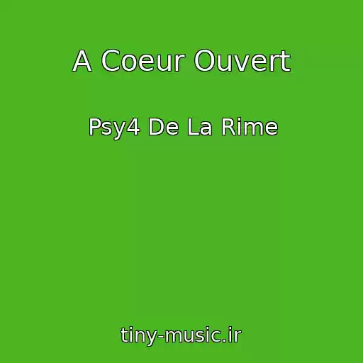 کاور آهنگ A Coeur Ouvert از Psy4 De La Rime