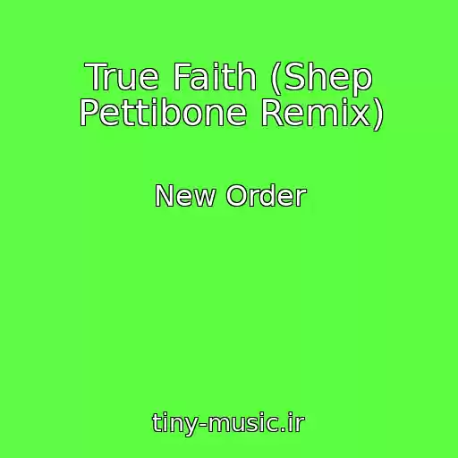 کاور آهنگ True Faith (Shep Pettibone Remix) از New Order
