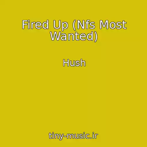 کاور آهنگ Fired Up (Nfs Most Wanted) از Hush