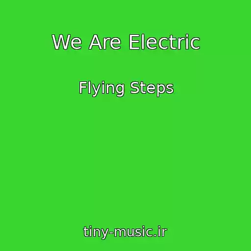 کاور آهنگ We Are Electric از Flying Steps