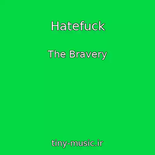 کاور آهنگ Hatefuck از The Bravery