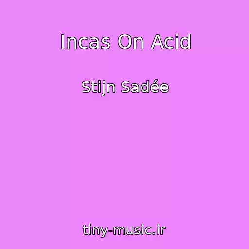 کاور آهنگ Incas On Acid از Stijn Sadée