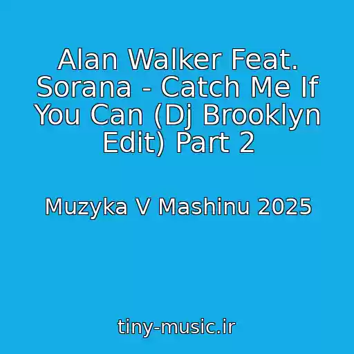 کاور آهنگ Alan Walker Feat. Sorana - Catch Me If You Can (Dj Brooklyn Edit) Part 2 از Muzyka V Mashinu 2025