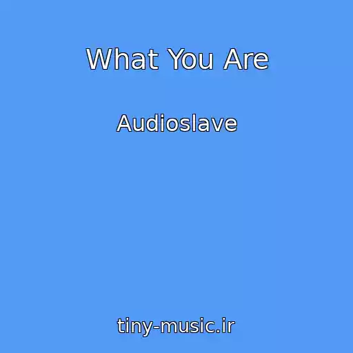 کاور آهنگ What You Are از Audioslave