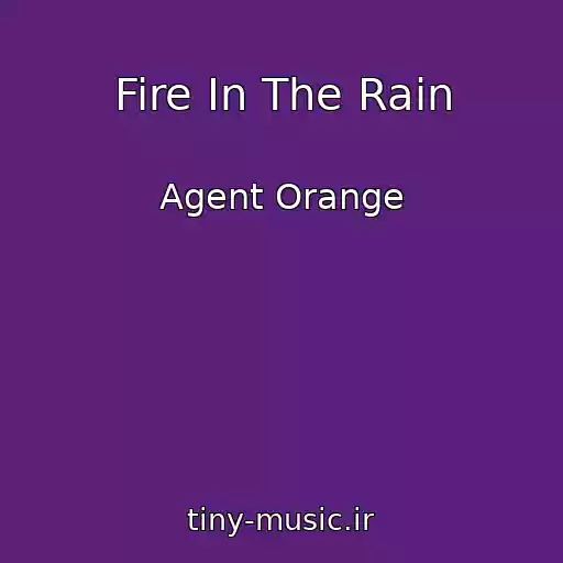 کاور آهنگ Fire In The Rain از Agent Orange