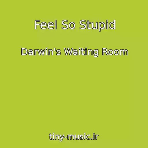 کاور آهنگ Feel So Stupid از Darwin's Waiting Room
