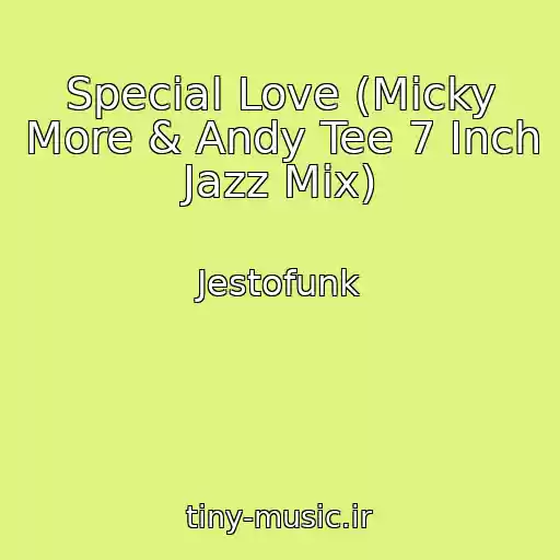 کاور آهنگ Special Love (Micky More & Andy Tee 7 Inch Jazz Mix) از Jestofunk
