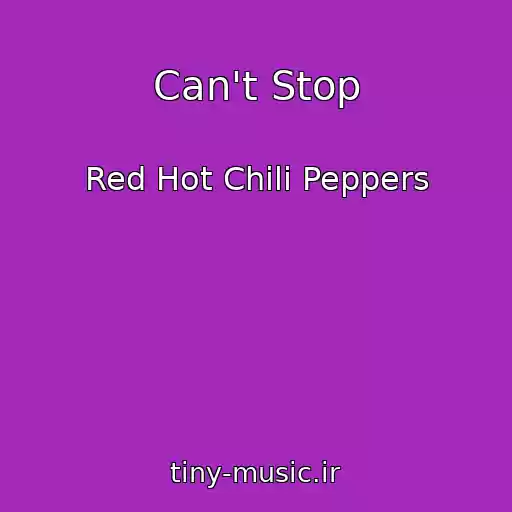 کاور آهنگ Can't Stop از Red Hot Chili Peppers