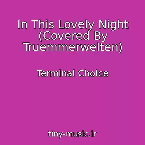 کاور آهنگ In This Lovely Night (Covered By Truemmerwelten) از Terminal Choice