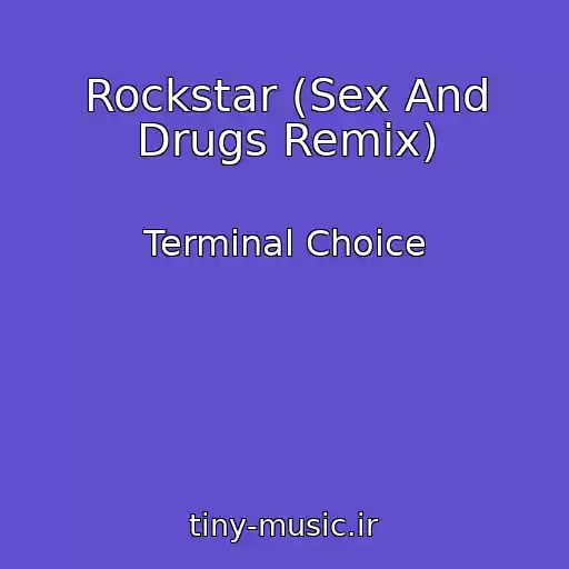 کاور آهنگ Rockstar (Sex And Drugs Remix) از Terminal Choice