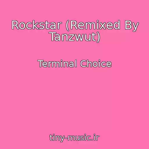 کاور آهنگ Rockstar (Remixed By Tanzwut) از Terminal Choice