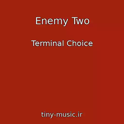 کاور آهنگ Enemy Two از Terminal Choice