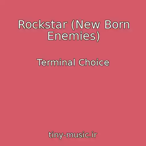 کاور آهنگ Rockstar (New Born Enemies) از Terminal Choice