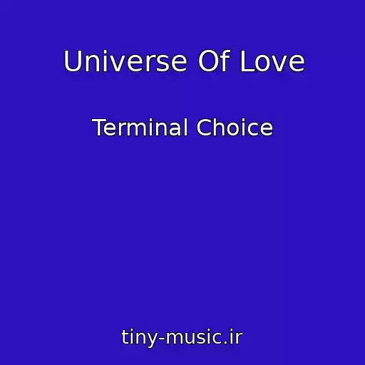کاور آهنگ Universe Of Love از Terminal Choice