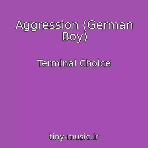 کاور آهنگ Aggression (German Boy) از Terminal Choice