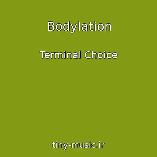 کاور آهنگ Bodylation از Terminal Choice