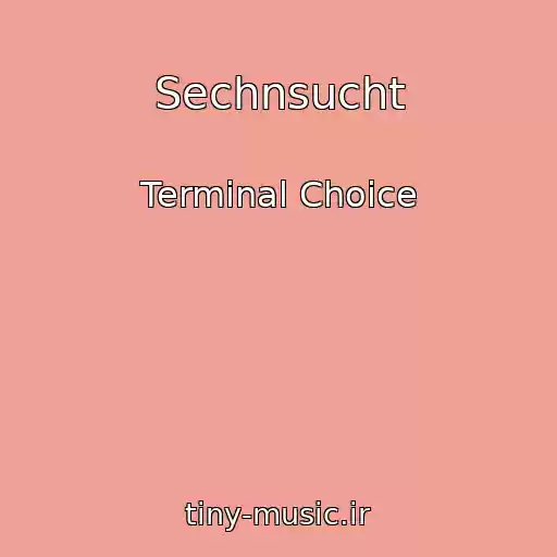 کاور آهنگ Sechnsucht از Terminal Choice