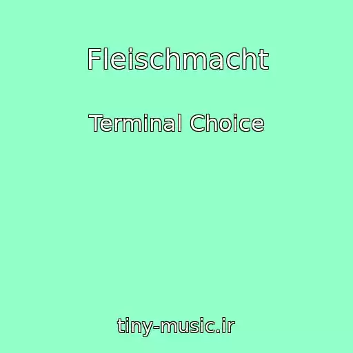 کاور آهنگ Fleischmacht از Terminal Choice