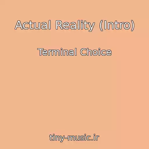 کاور آهنگ Actual Reality (Intro) از Terminal Choice