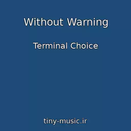 کاور آهنگ Without Warning از Terminal Choice