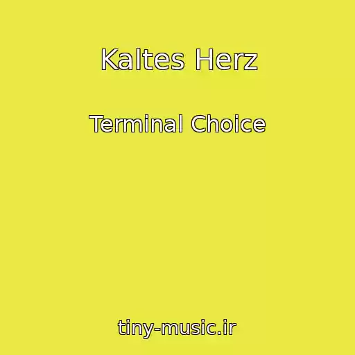 کاور آهنگ Kaltes Herz از Terminal Choice