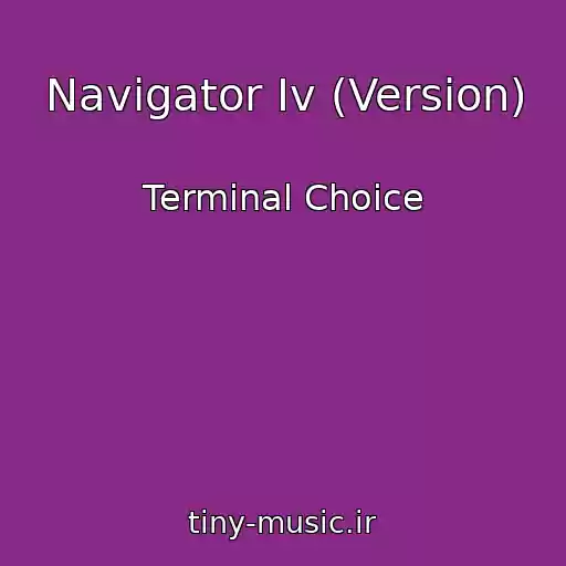 کاور آهنگ Navigator Iv (Version) از Terminal Choice
