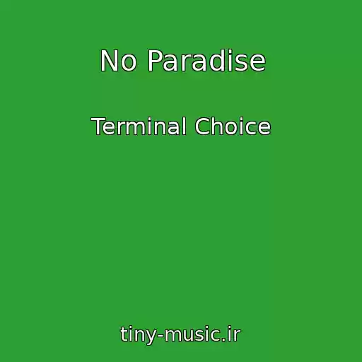 کاور آهنگ No Paradise از Terminal Choice