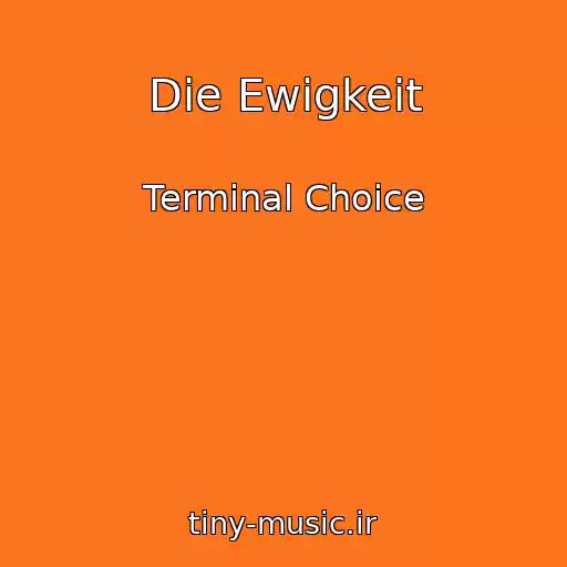 کاور آهنگ Die Ewigkeit از Terminal Choice