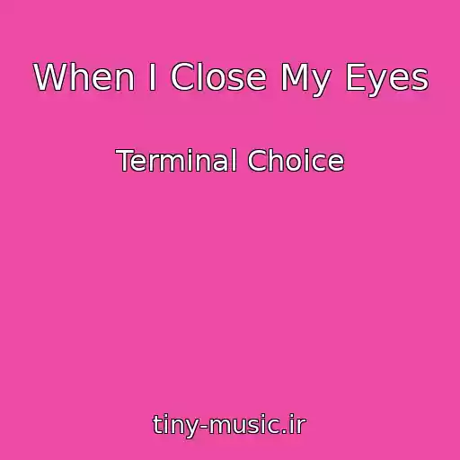 کاور آهنگ When I Close My Eyes از Terminal Choice
