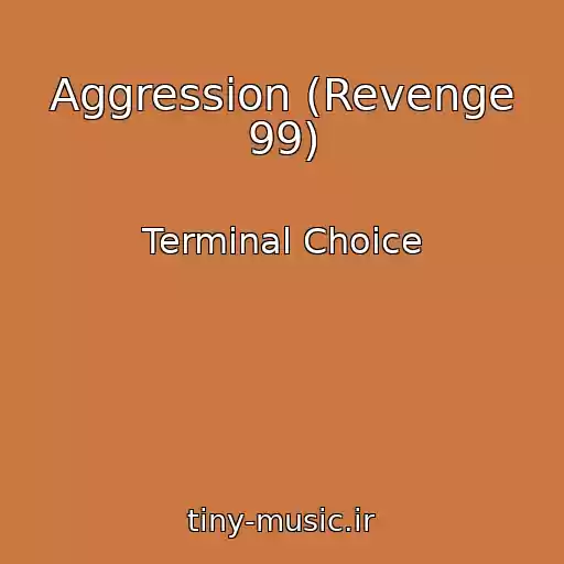 کاور آهنگ Aggression (Revenge 99) از Terminal Choice